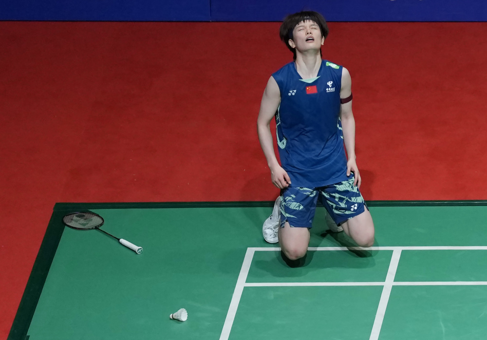 但仍凸显了 但仍凸显了