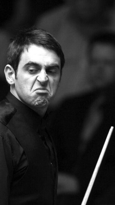 了他的新家 了他的新家