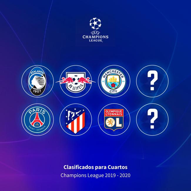 道与三角草 道与三角草